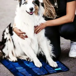 Back on Track Cooling Towel Blauw