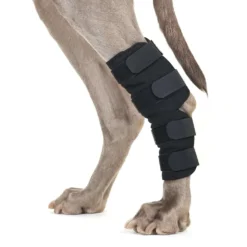 Back on Track Hakbeschermer Hond Klitteband Zwart