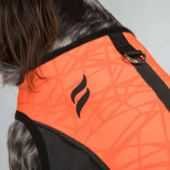 Back on Track Hondenjas TRAKK Reflecterend Oranje