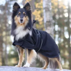 Back on Track Honden Maasdeken Zwart