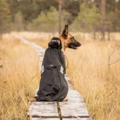 Back on Track Honden Maasdeken Zwart