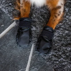 Back on Track Hondenschoenen Koda Zwart