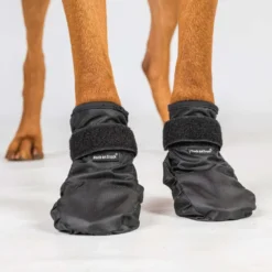 Back on Track Hondenschoenen Koda Zwart
