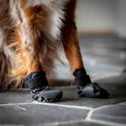 Back on Track Hondenschoenen Koda Zwart