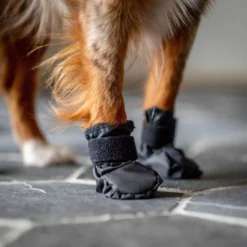 Back on Track Hondenschoenen Koda Zwart
