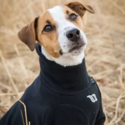 Back on Track Hondentrui Cassie All-Weather Zwart