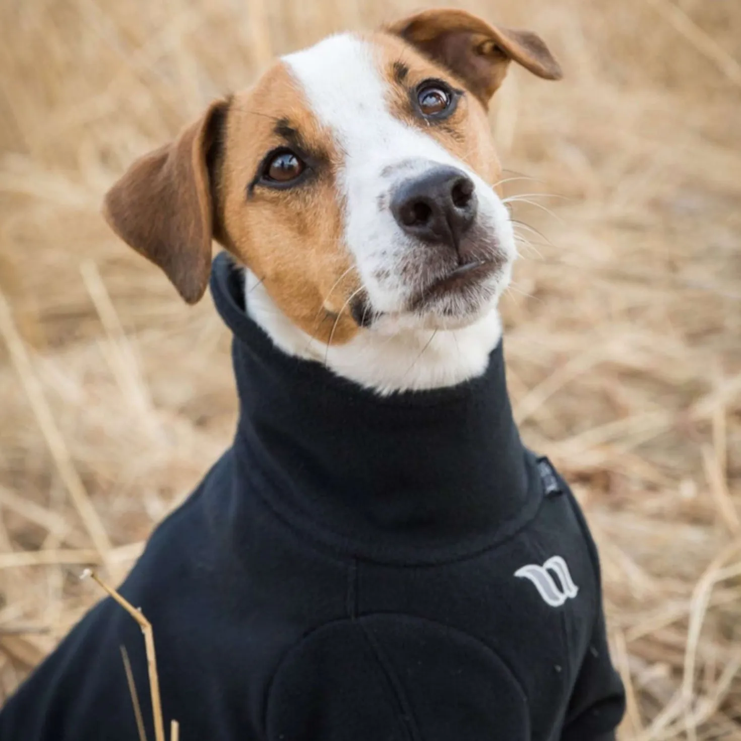 Back on Track Hondentrui Cassie All-Weather Zwart