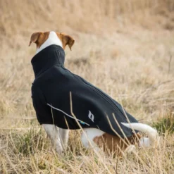 Back on Track Hondentrui Cassie All-Weather Zwart