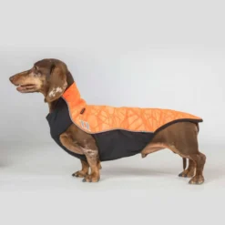 Back on Track Hondentrui Eddie High Visibility Petite Oranje