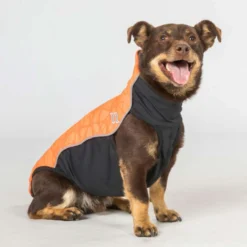 Back on Track Hondentrui Eddie High Visibility Petite Oranje