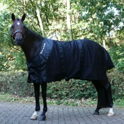 Back on Track Maasdeken Paard Zwart