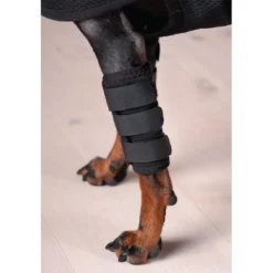 Back on Track Peesbeschermer Hond met Klitteband Zwart
