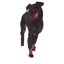 Back on Track Peesbeschermer Hond met Klitteband Zwart