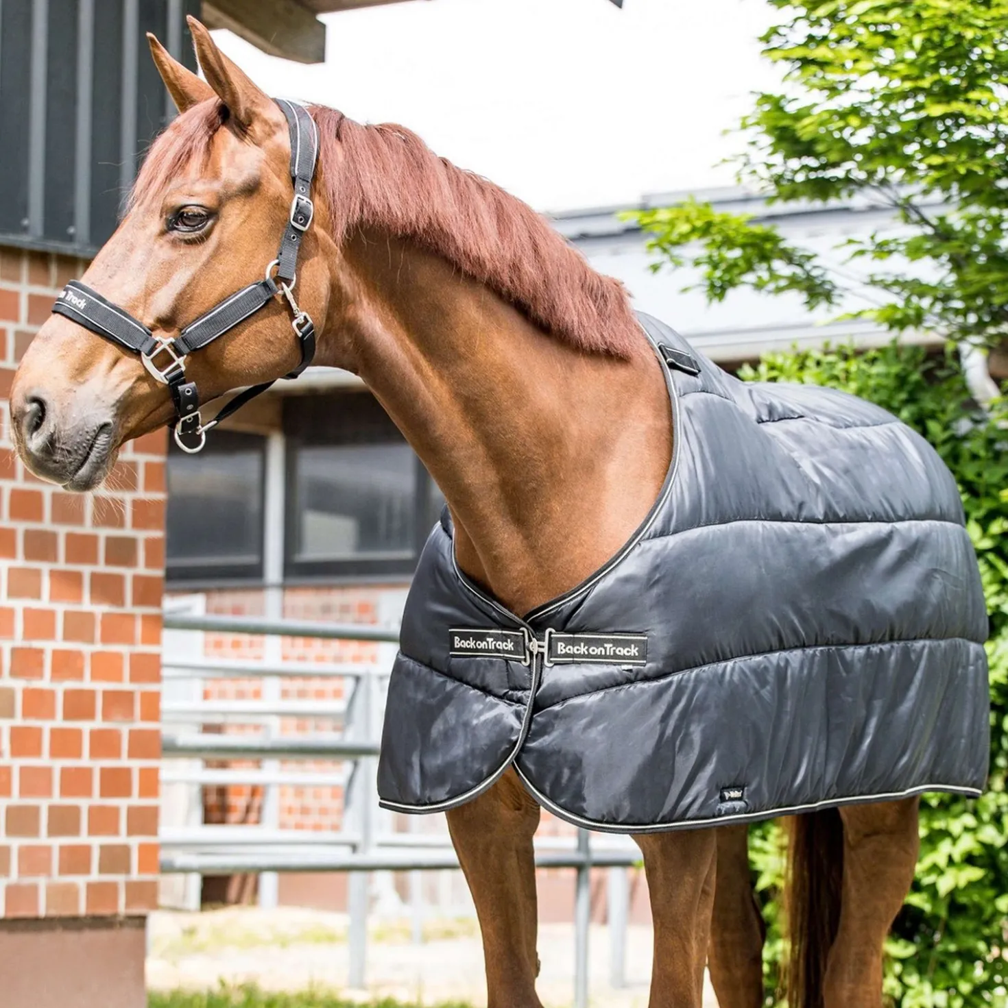 Back on Track Rhyolite Insulated Liner 200g Zwart