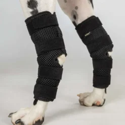 Back on Track Spronggewricht Beschermer Dixie Hond Zwart