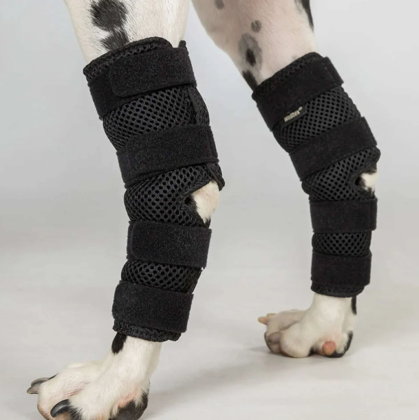 Back on Track Spronggewricht Beschermer Dixie Hond Zwart