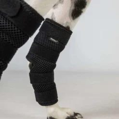 Back on Track Spronggewricht Beschermer Dixie Hond Zwart