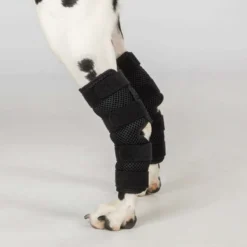 Back on Track Spronggewricht Beschermer Dixie Hond Zwart