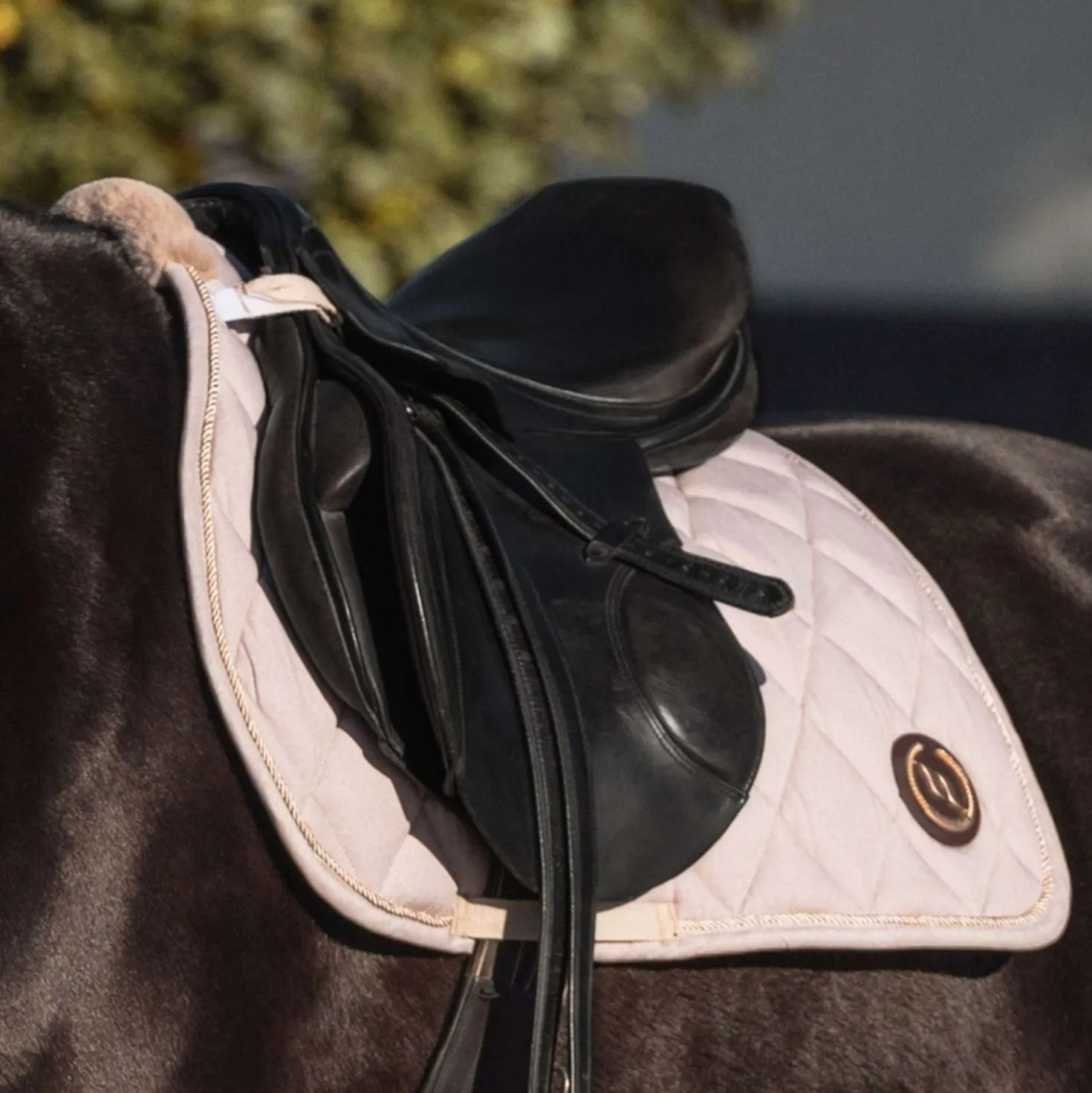 Back on Track Zadeldekje Haze Dressuur Lichtbeige