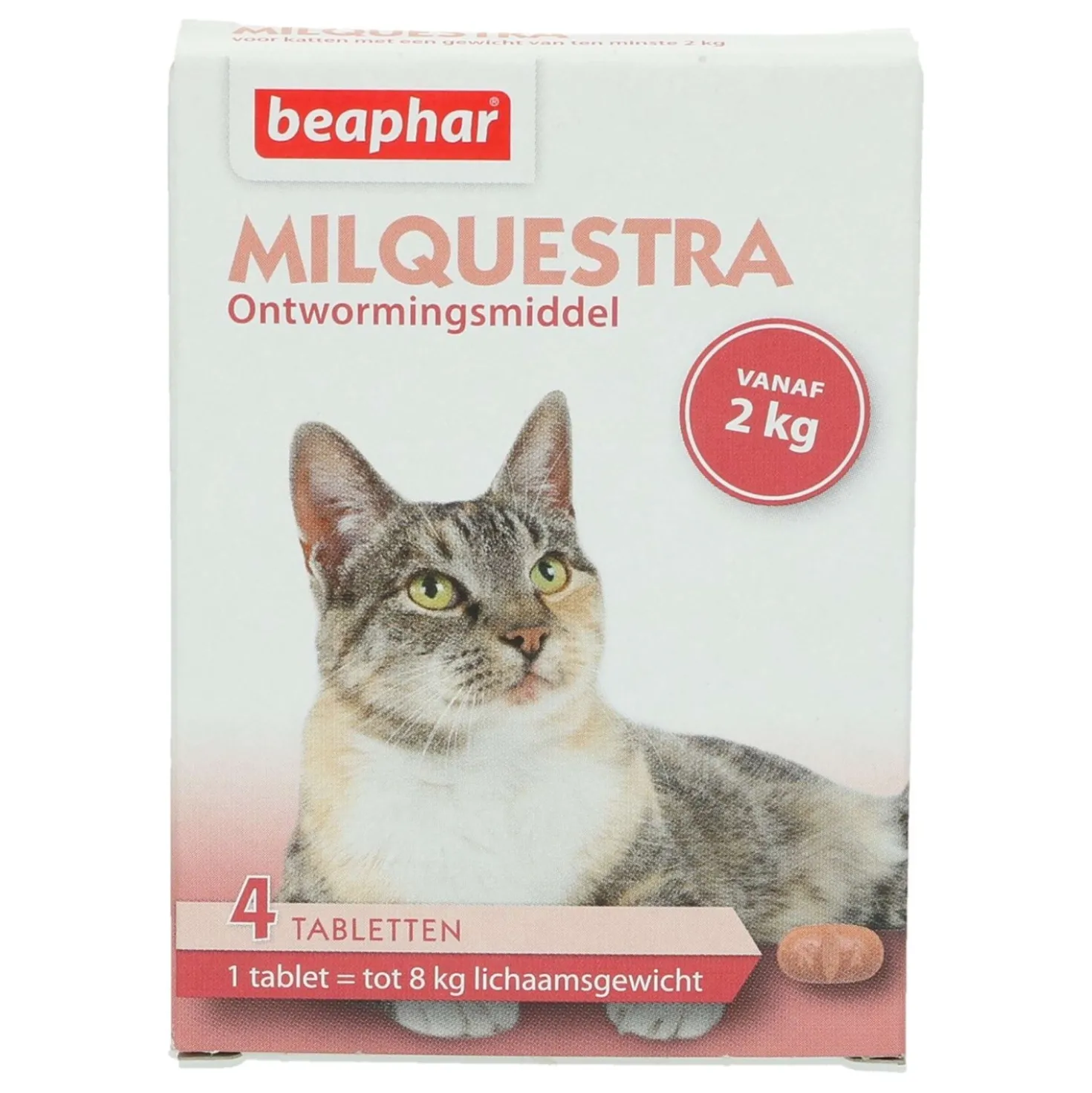 Beaphar Milquestra Kat 2-12kg