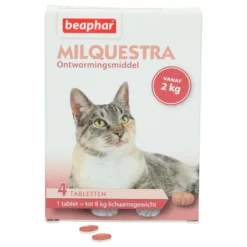 Beaphar Milquestra Kat 2-12kg