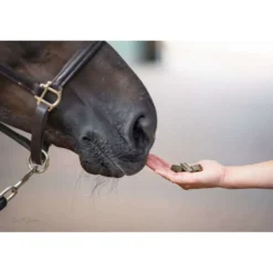 Bense & Eicke Paardensnoepjes Wiesen Happies Wilde Bes Kruiden