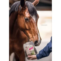 Bense & Eicke Paardensnoepjes Wiesen Happies Wilde Bes Kruiden