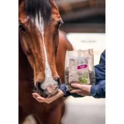Bense & Eicke Paardensnoepjes Wiesen Happies Wilde Bes Kruiden