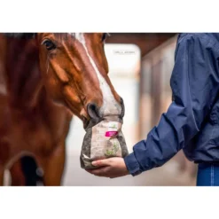 Bense & Eicke Paardensnoepjes Wiesen Happies Rozenbottel Lijnzaad