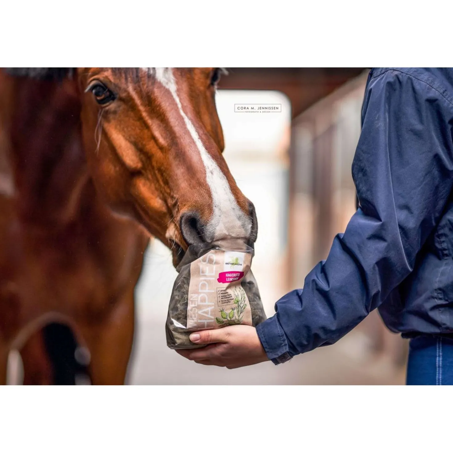 Bense & Eicke Paardensnoepjes Wiesen Happies Rozenbottel Lijnzaad