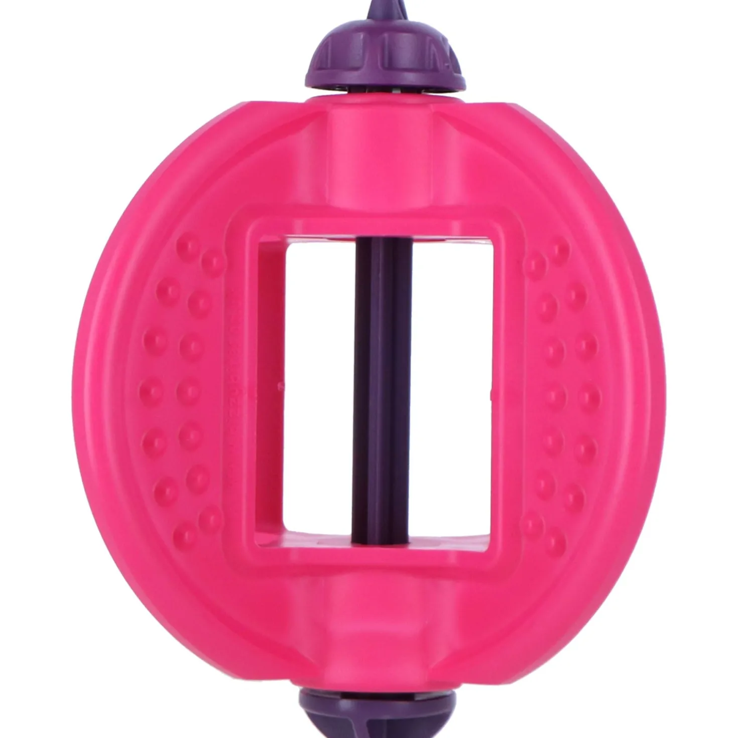 Bizzy Multifunctionele Speelbal Rose