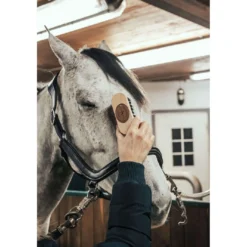 Borstiq Hoofdborstel