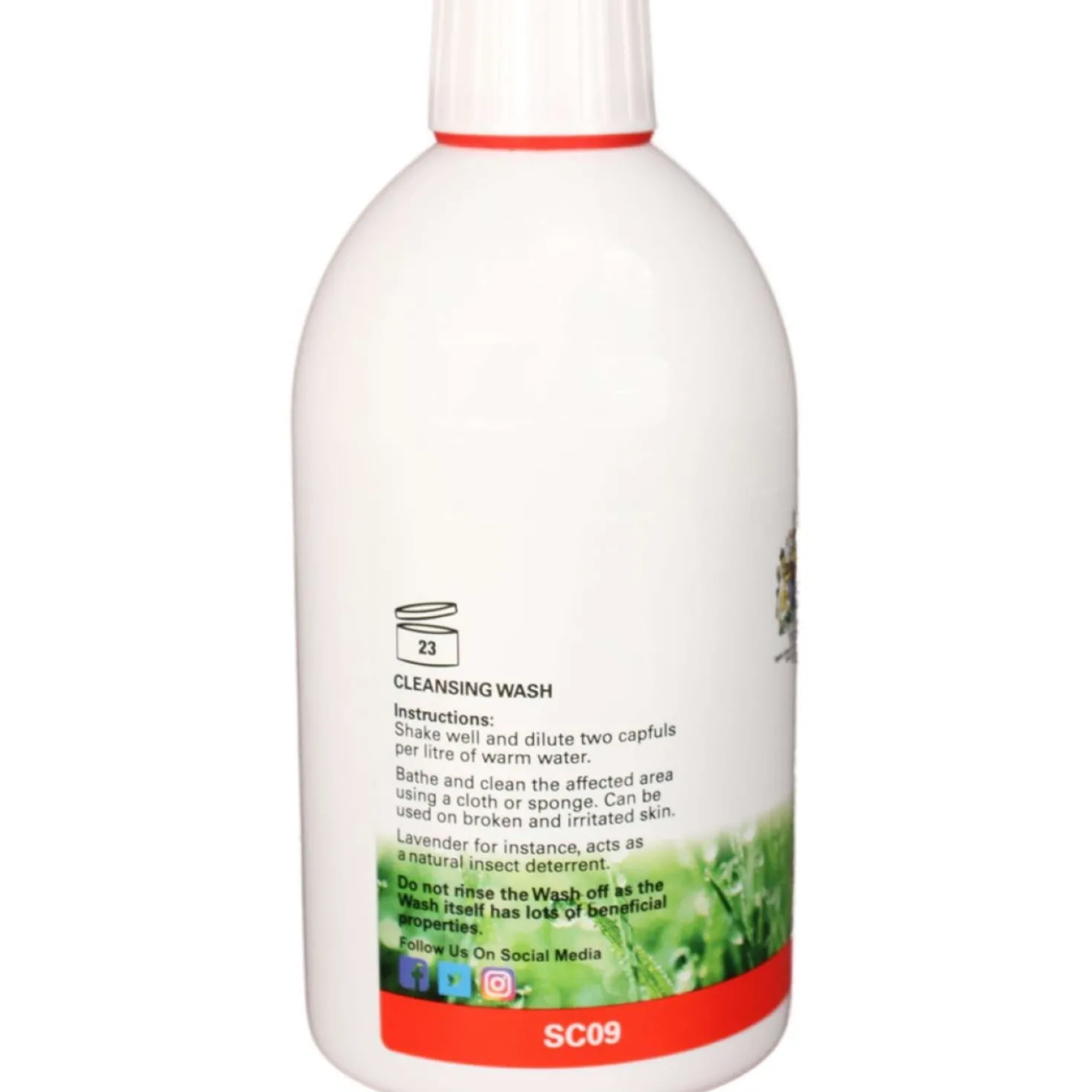 Botanica Cleansing Wash