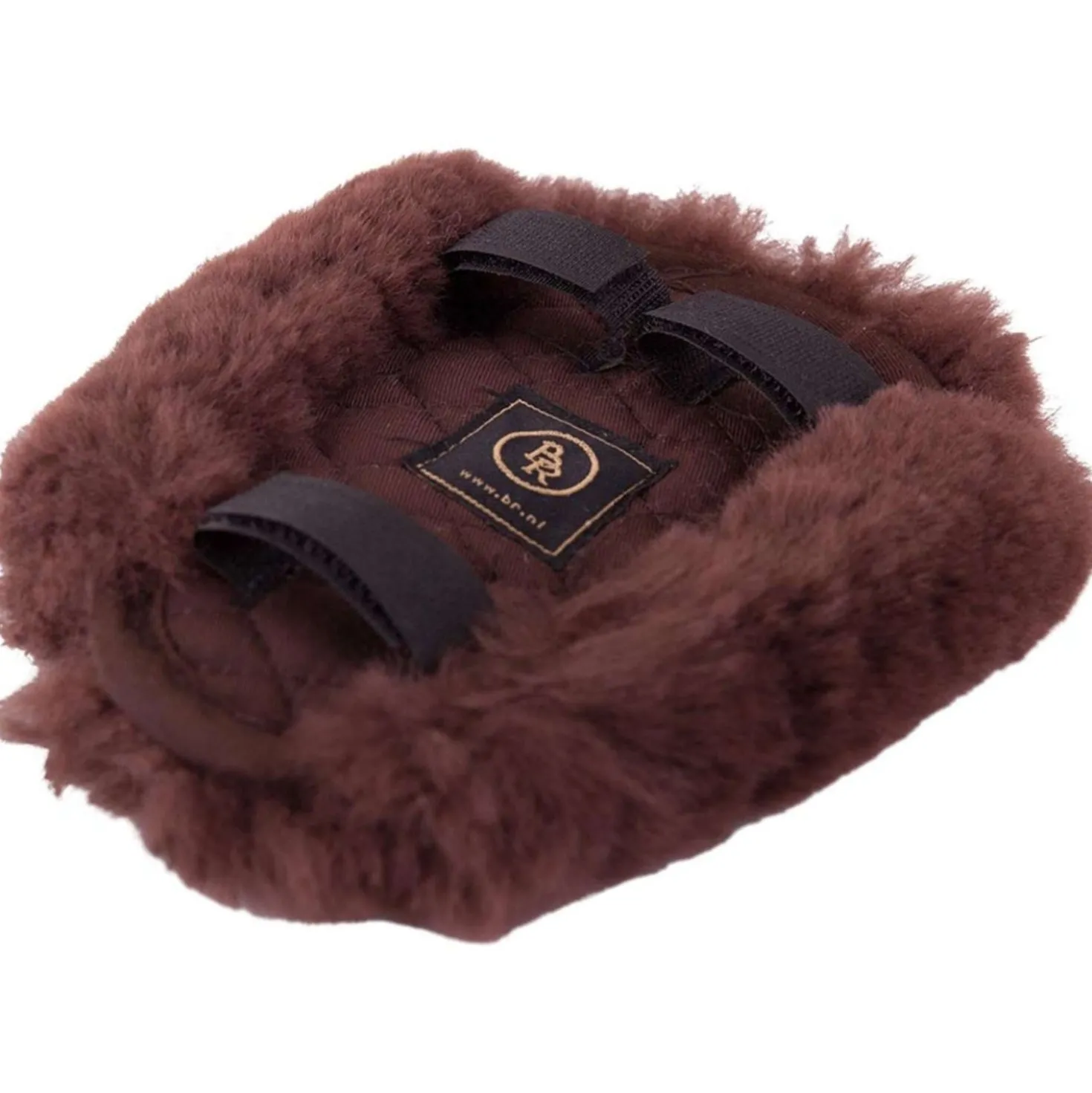 BR Borsttuigbontje Bruin