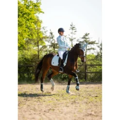 BR Dressage Boots Majestic Kamilla Tourmaline