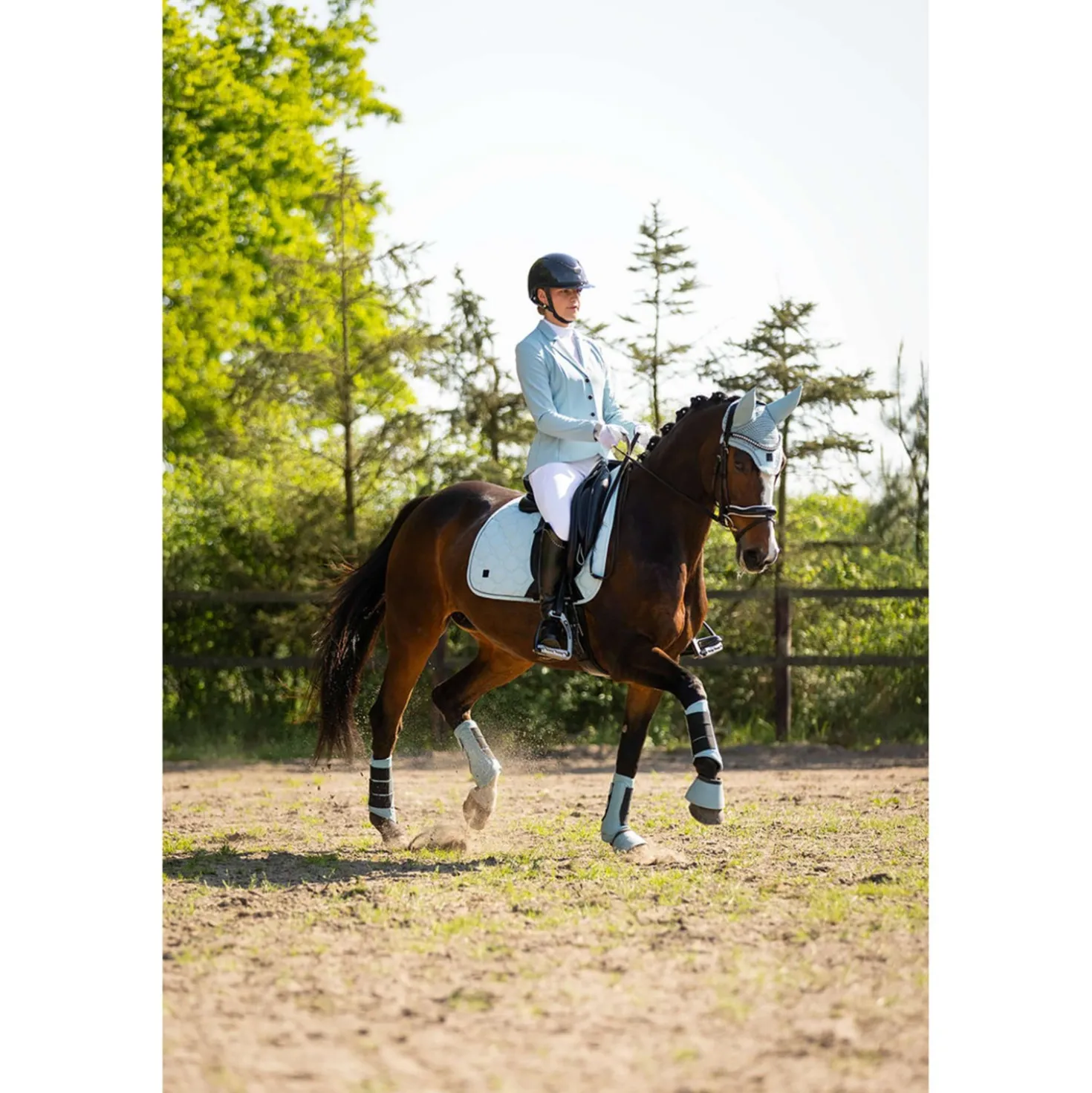 BR Dressage Boots Majestic Kamilla Tourmaline