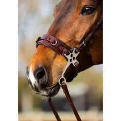 BR Hackamore Thornbury Oak/Zilver