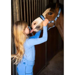 BR Halsterset Mini Horse Little Blue
