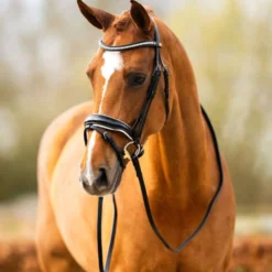 BR Hoofdstel Hailsham Zwart/Wit