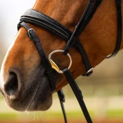 BR Hoofdstel Hitchin Zwart/Zilver