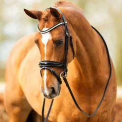 BR Hoofdstel Hitchin Zwart/Zilver