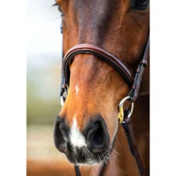 BR Hoofdstel Sunderland Oak/Zilver