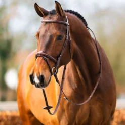 BR Hoofdstel Sunderland Oak/Zilver