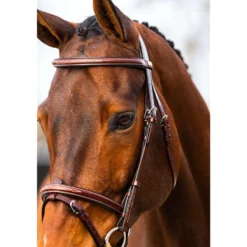 BR Hoofdstel Sunderland Oak/Zilver
