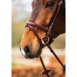 BR Hoofdstel Sunderland Oak/Zilver