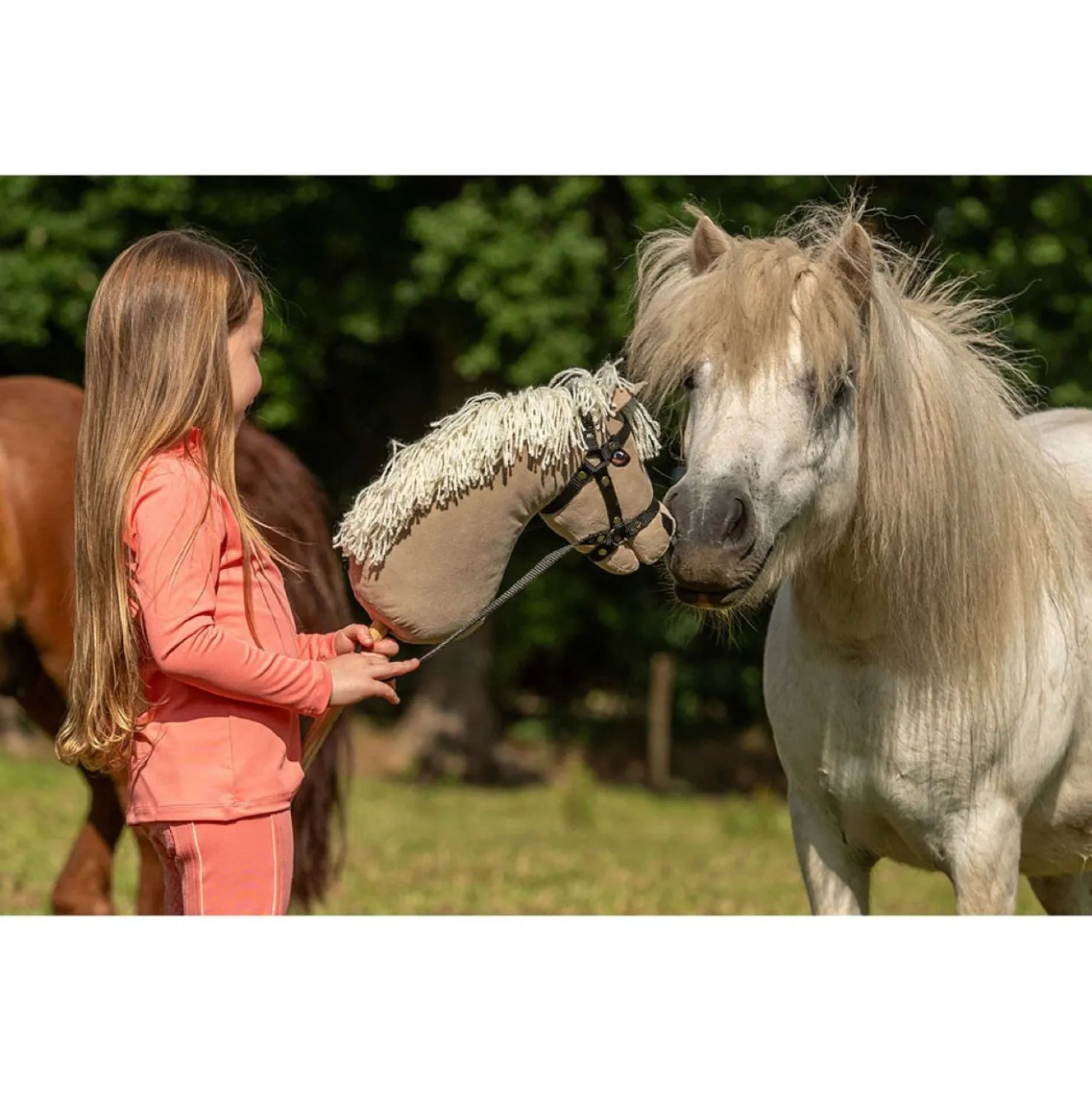 BR Mini Horse Stokpaard Beige