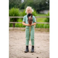 BR Mini Horse Stokpaard Bruin