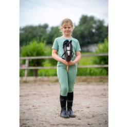 BR Mini Horse Stokpaard Zwart