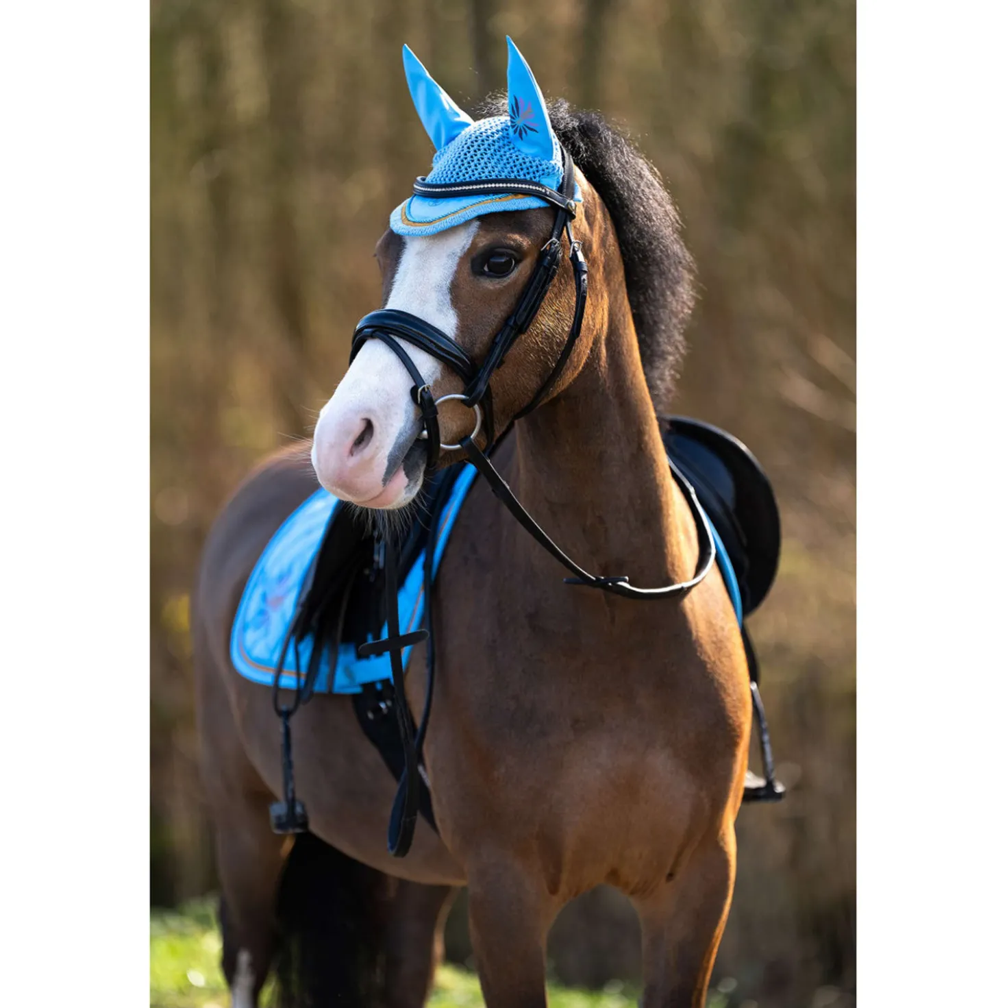 BR Oornetje Mini Horse Little Blue