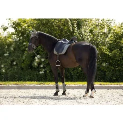 BR Peesbeschermers Event Neopreen Voering Mulled Basil